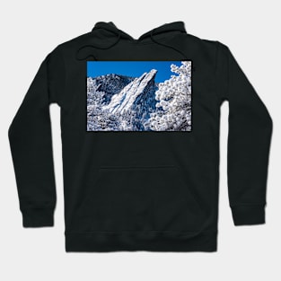 The Third Flatiron - Through The Trees Hoodie